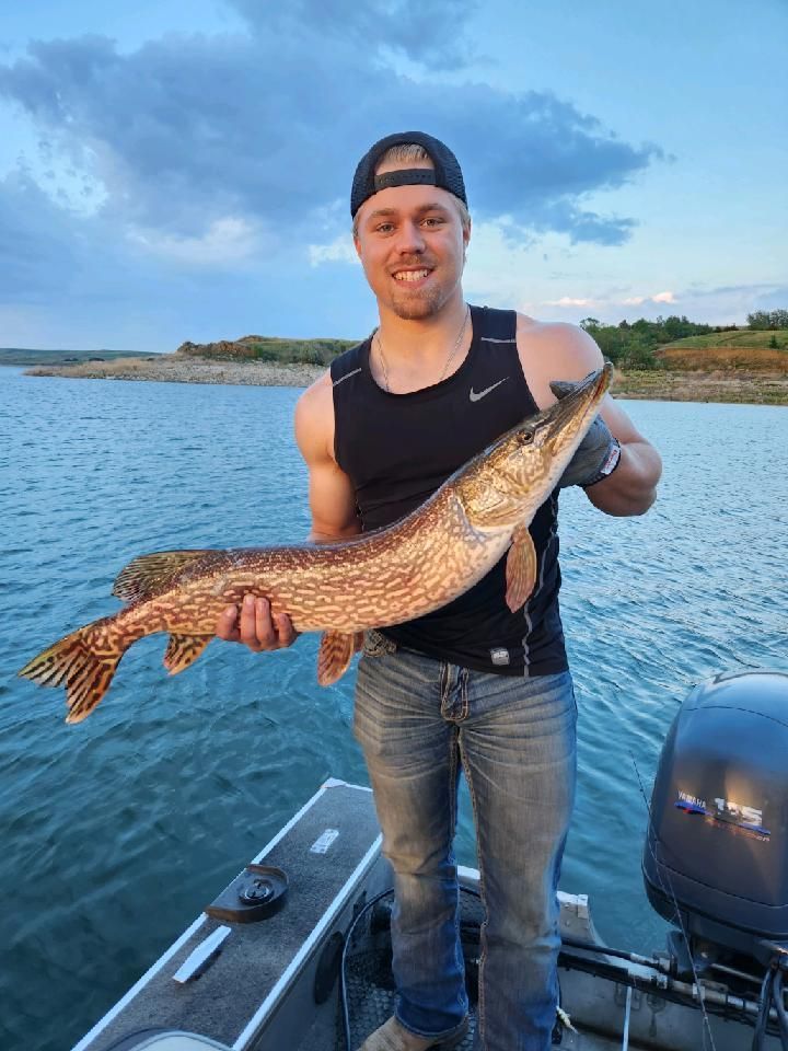 A man is standing on a boat holding a large fish.
