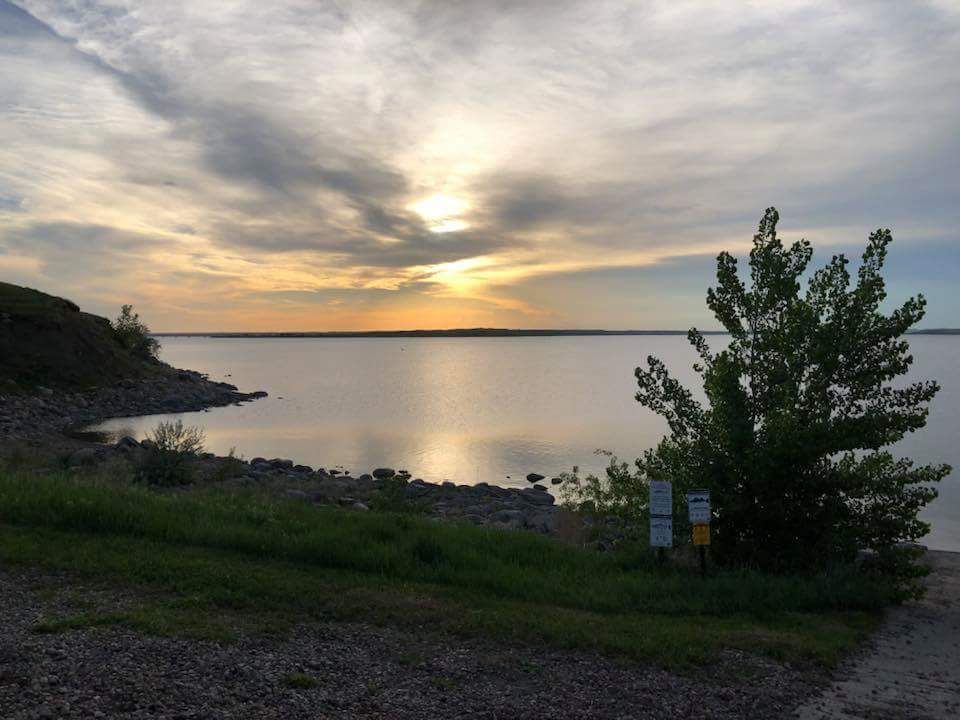 A sunset over a large body of water with a tree in the foreground.