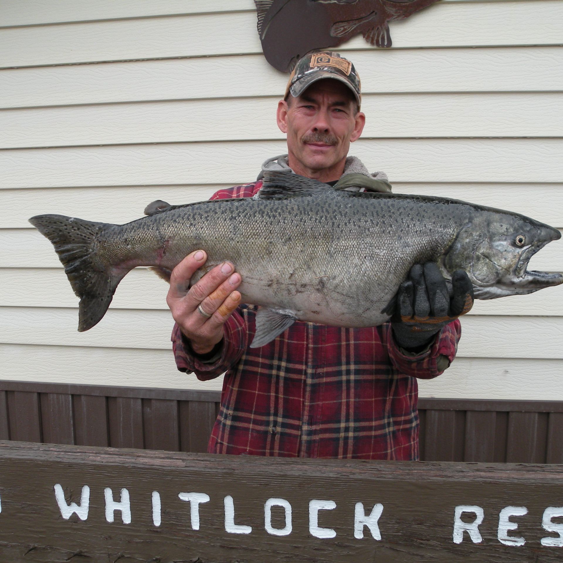 Salmon Fishing Resort, Landing, Lodging Lake Oahe, SD