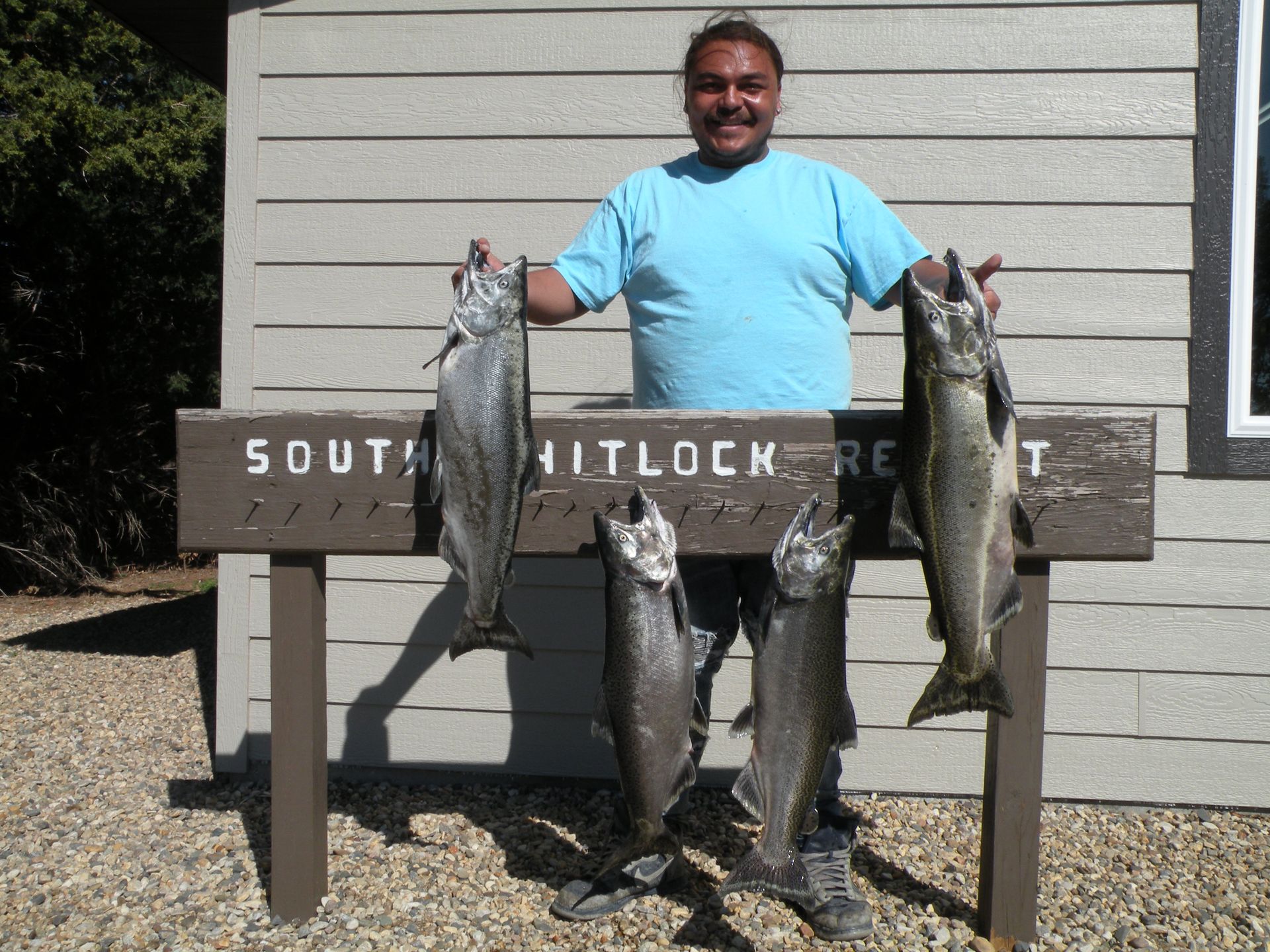 A man holding three fish in front of a sign that says south whitlock resort