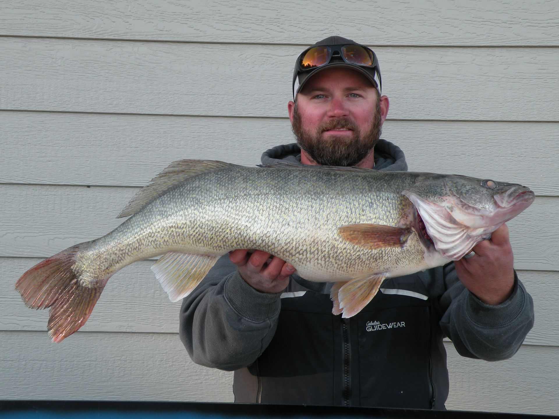 A man is holding a large fish in his hands.