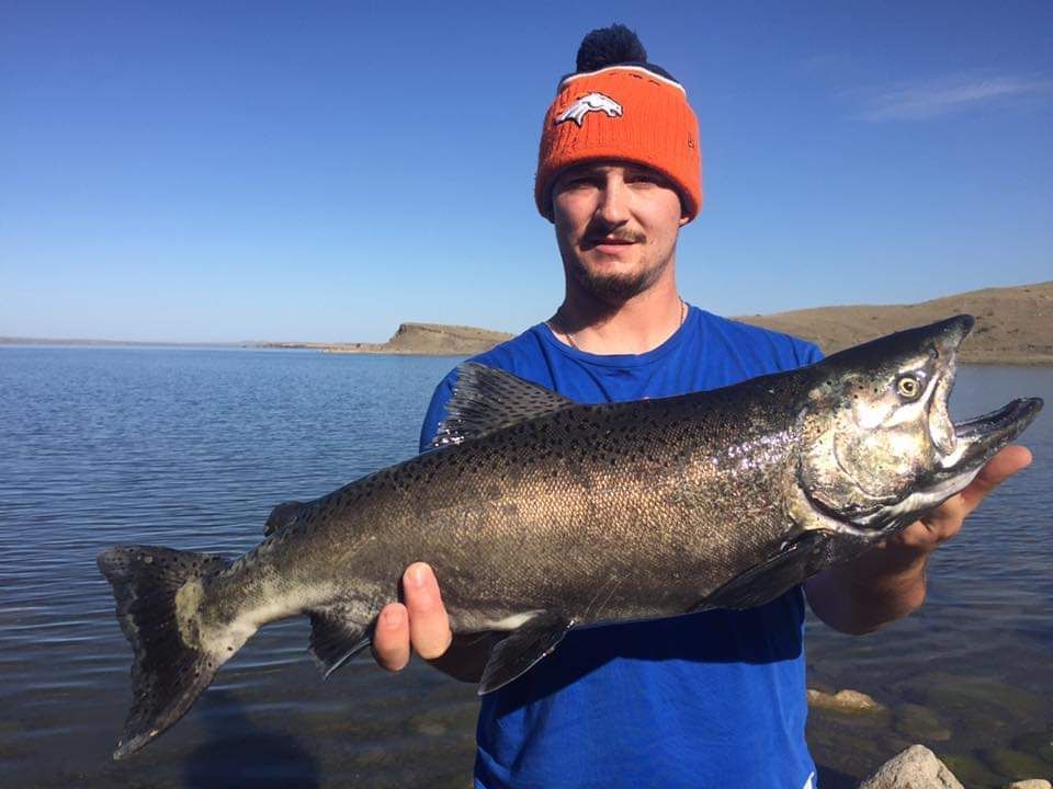 A man in an orange hat is holding a large fish in his hands.
