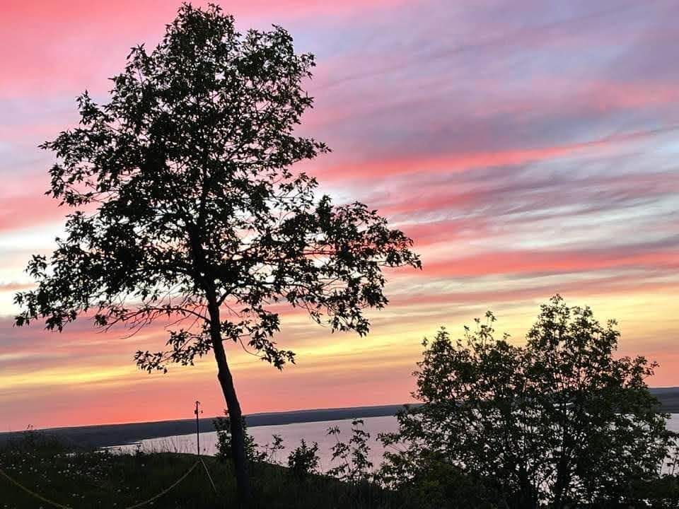 A sunset with a tree in the foreground