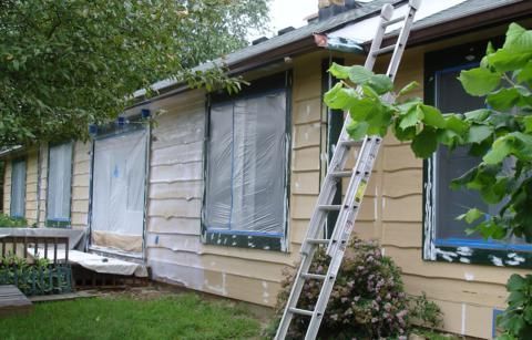 Cedar Surface Treatment