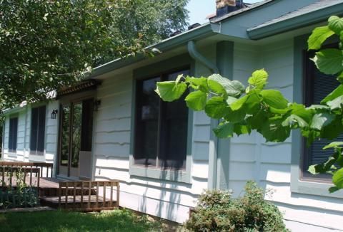 Cedar Surface Treatment