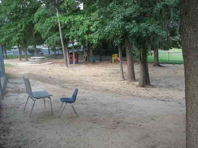 Beautiful Trees — Tallahassee, FL — Child Growth & Development