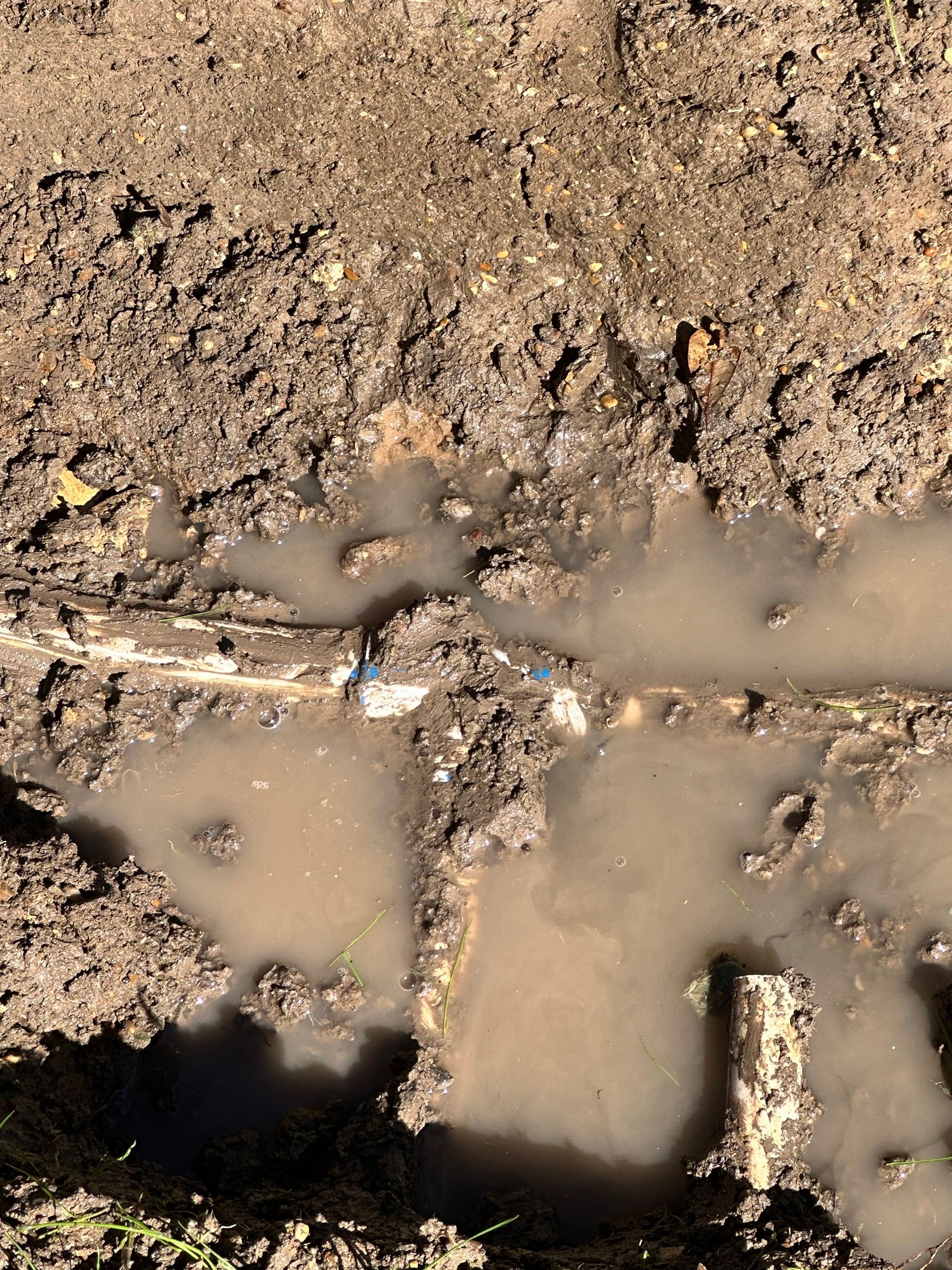 A close up of a muddy puddle with a pipe in it