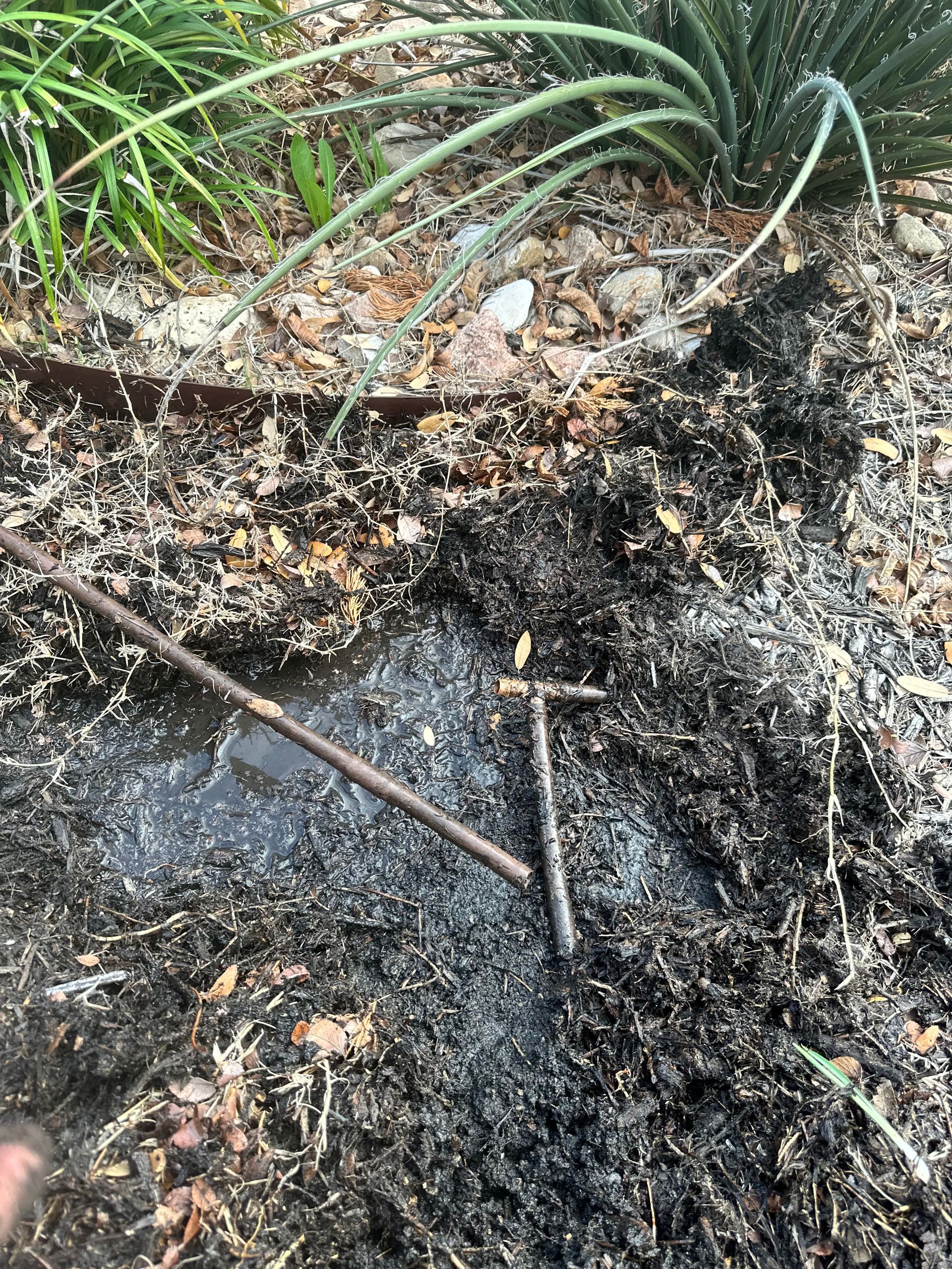A person is digging in the dirt in a garden.
