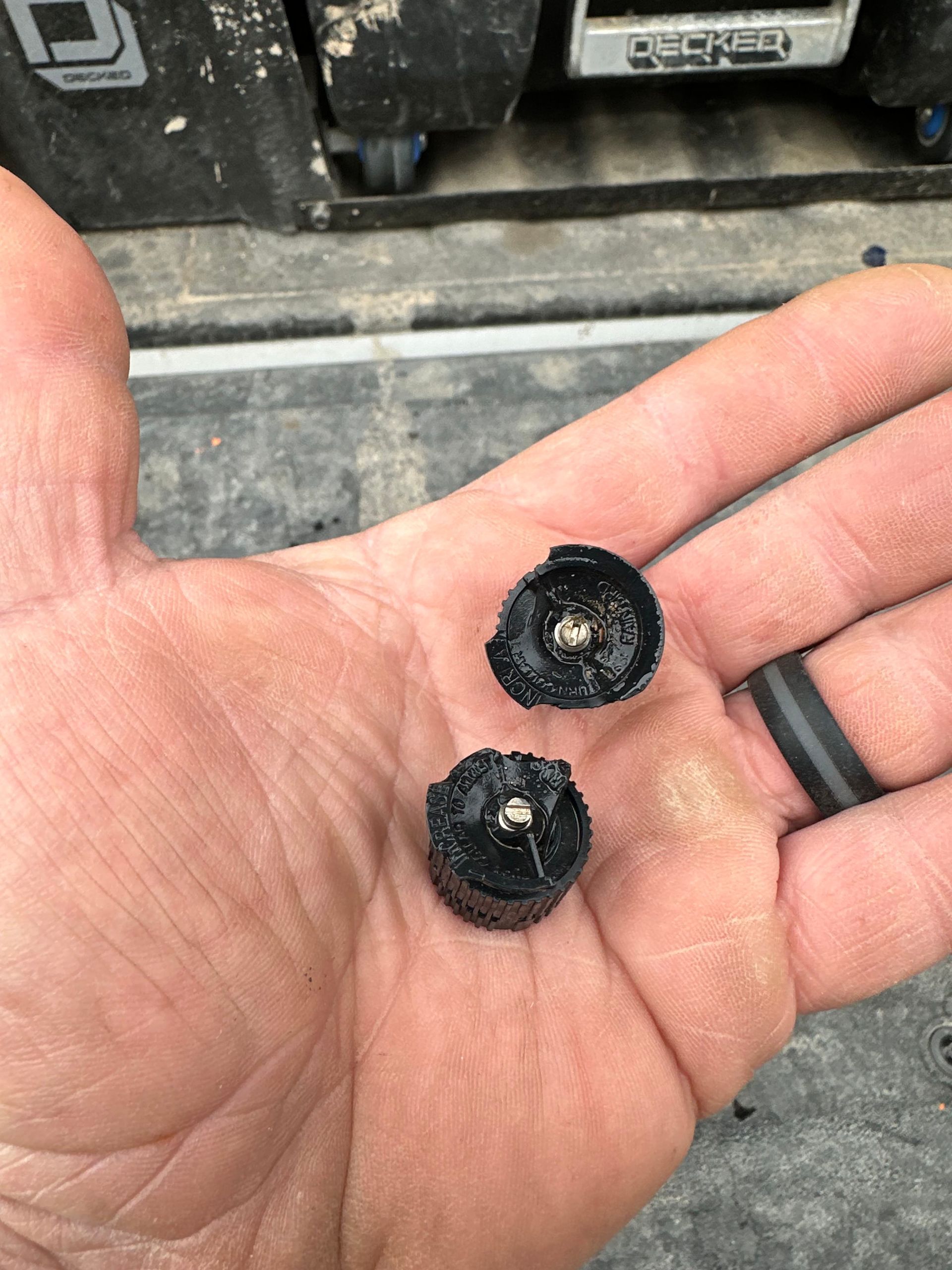 A person is holding a pair of screws in their hand.