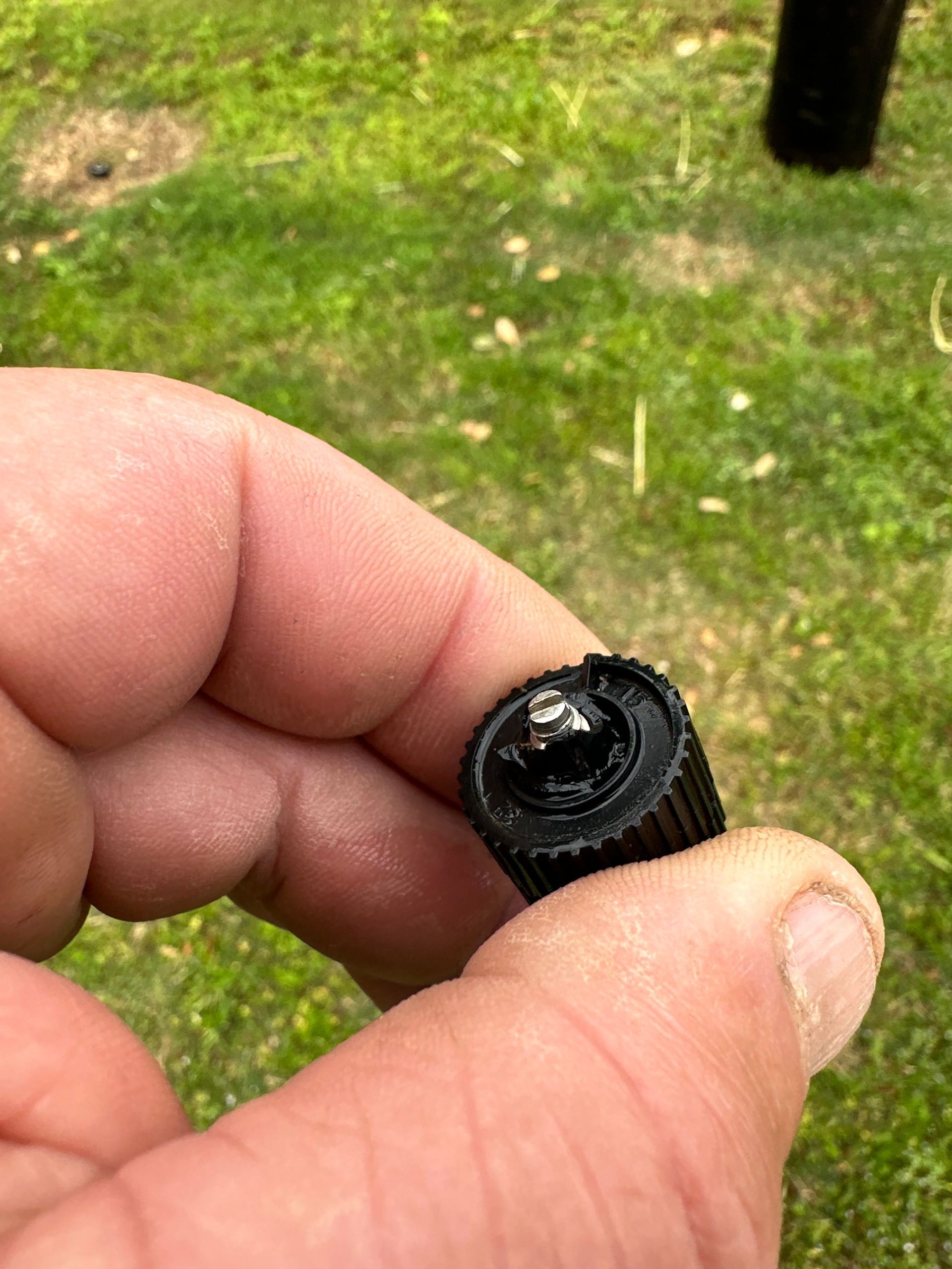 A person is holding a small black object in their hand.