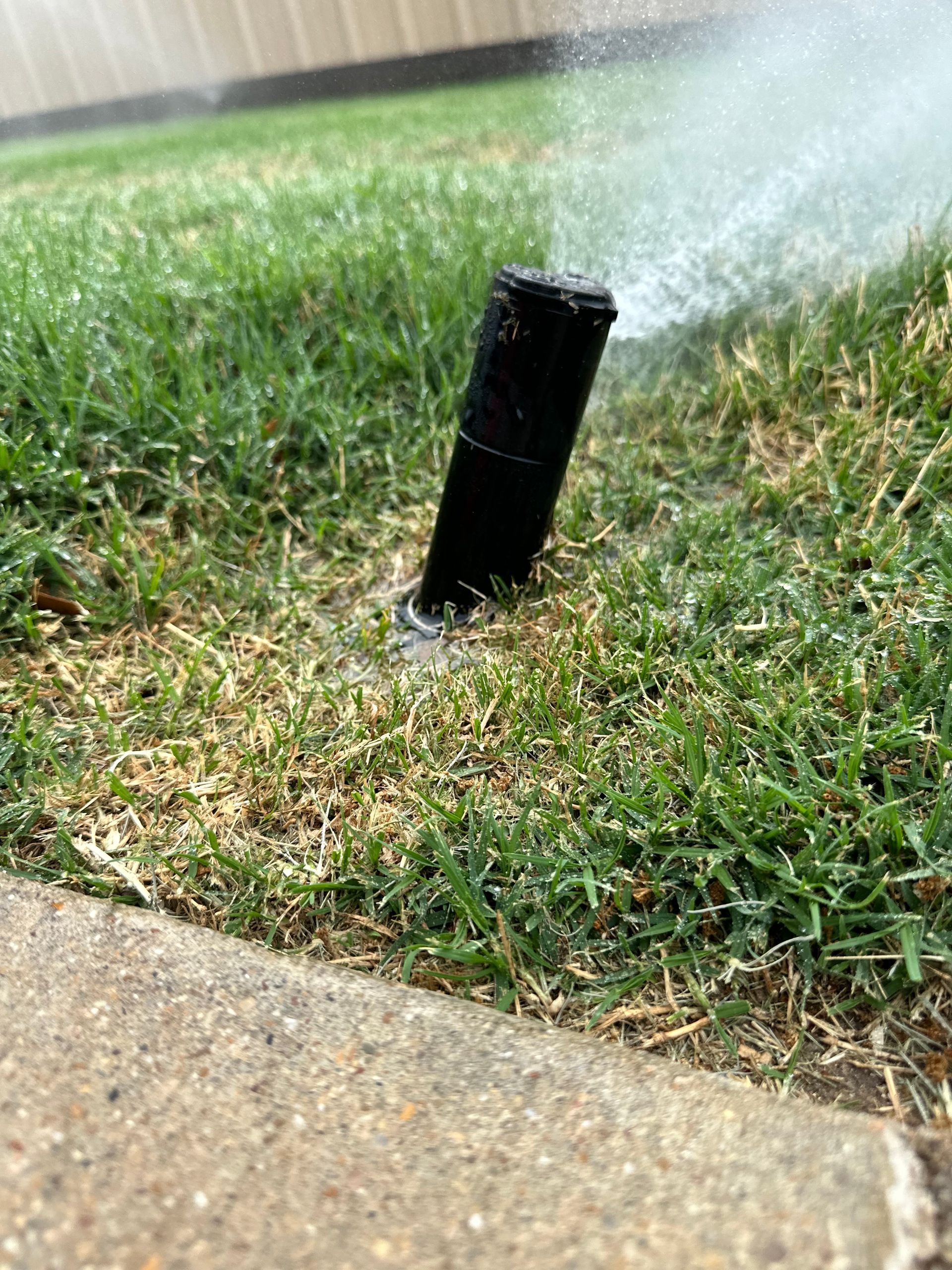 A sprinkler is spraying water on a lush green lawn.