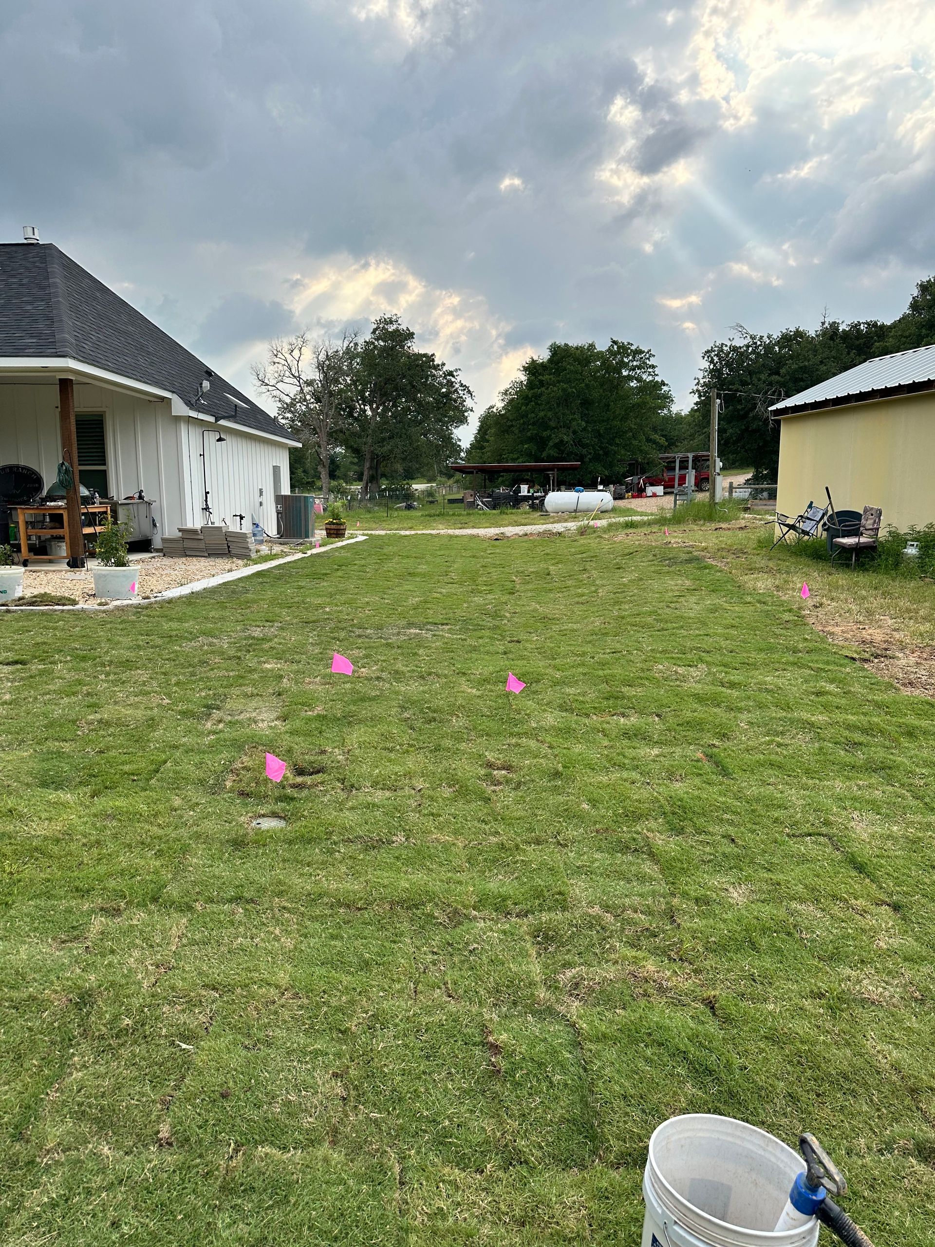 A bucket of water is sitting in the grass in front of a house.