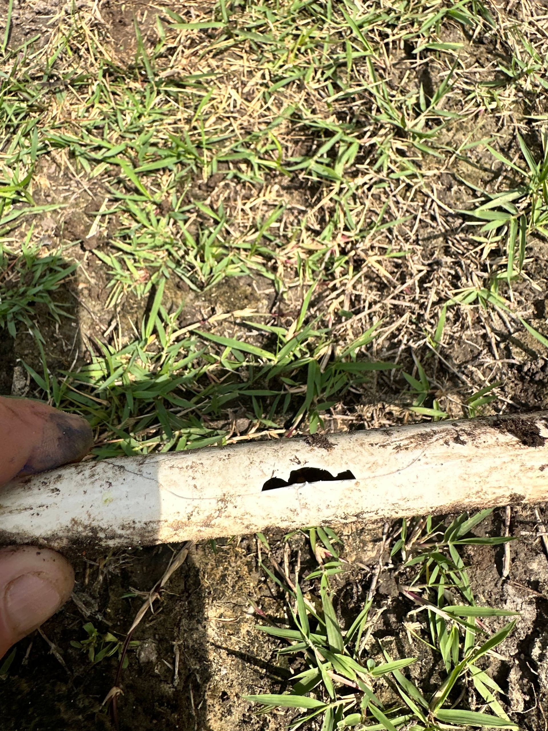 A person is holding a piece of pipe in the grass.