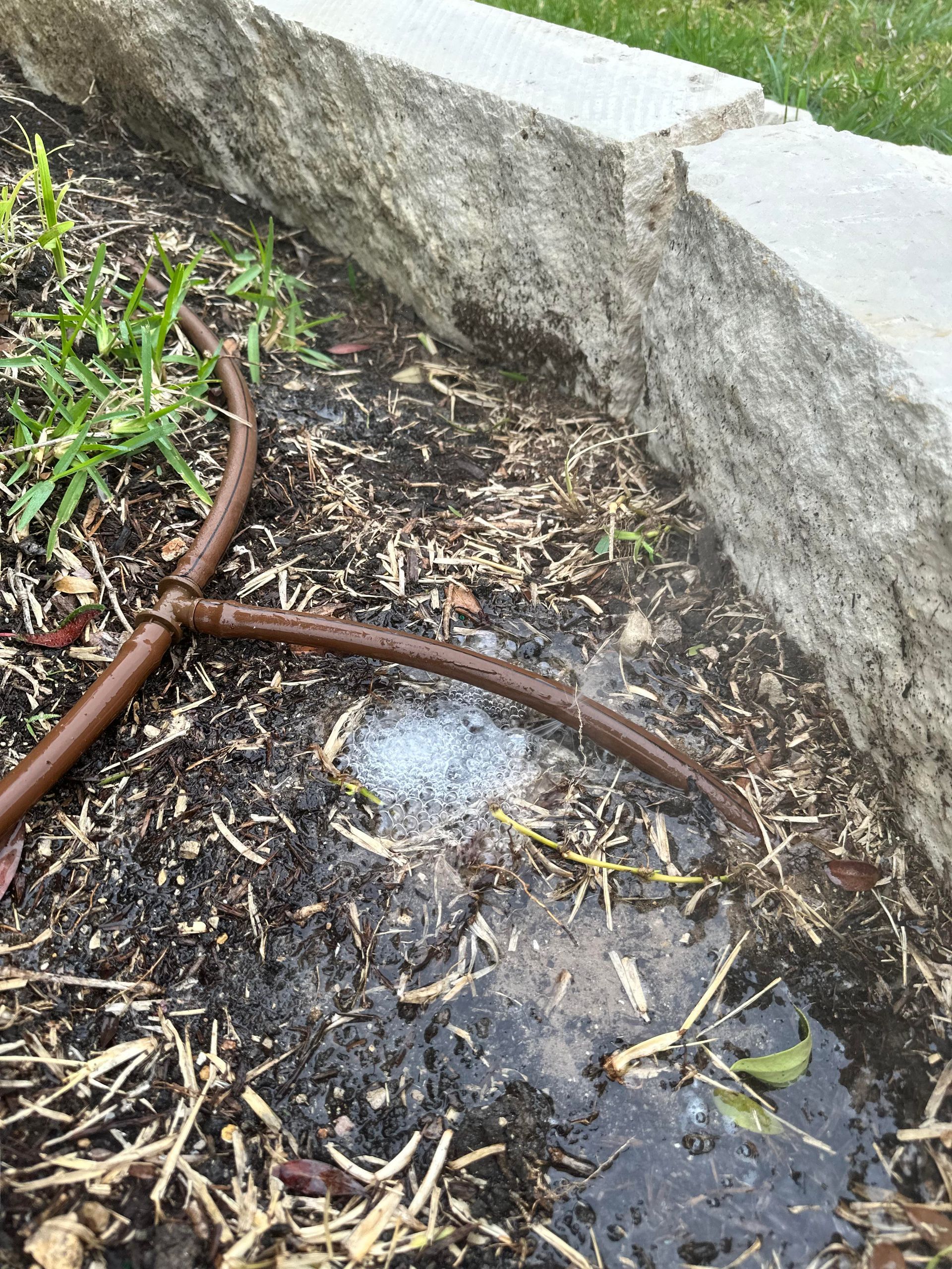 A hose is laying in the dirt next to a stone wall.