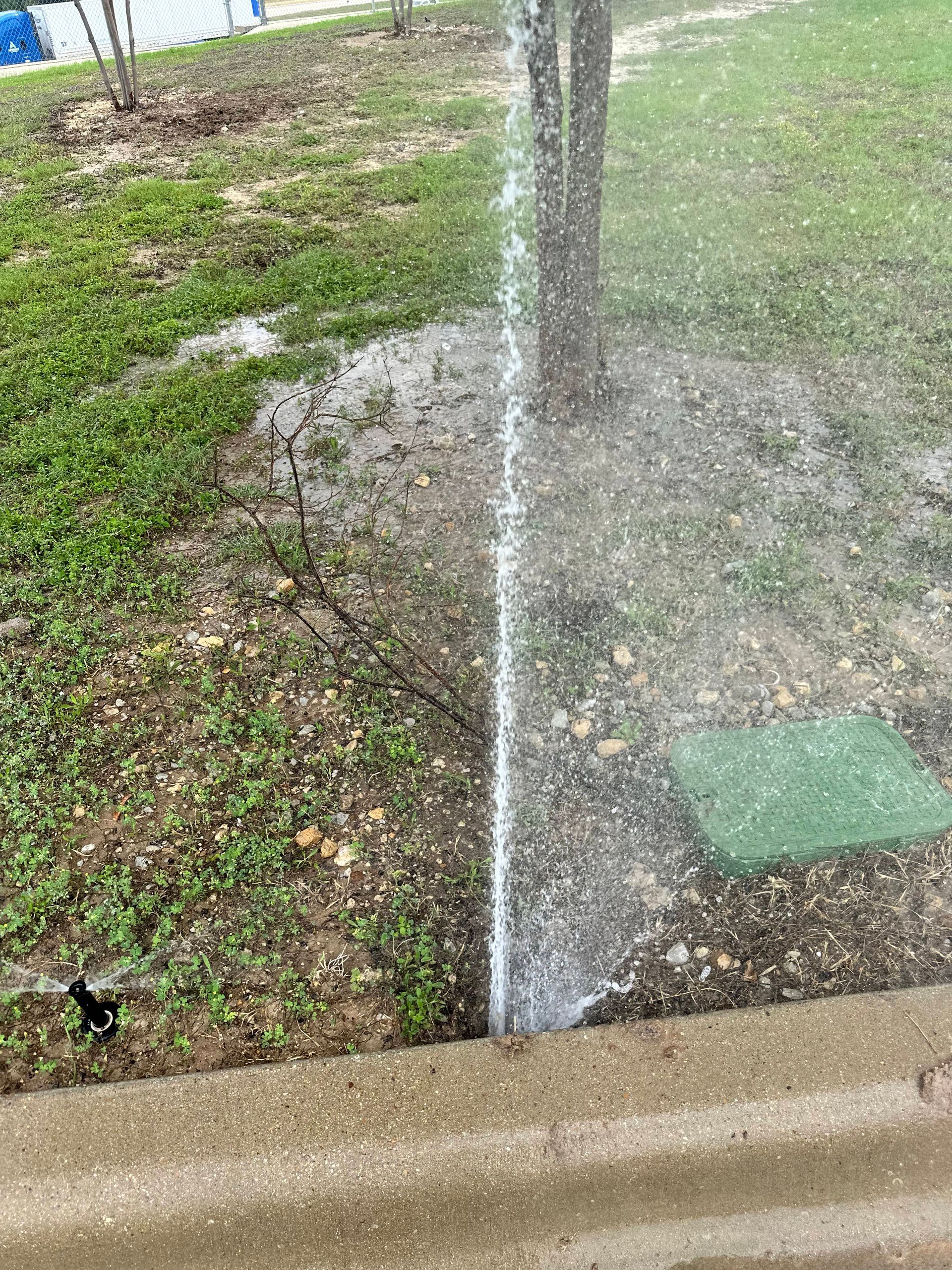 A sprinkler is spraying water on a lawn next to a tree.