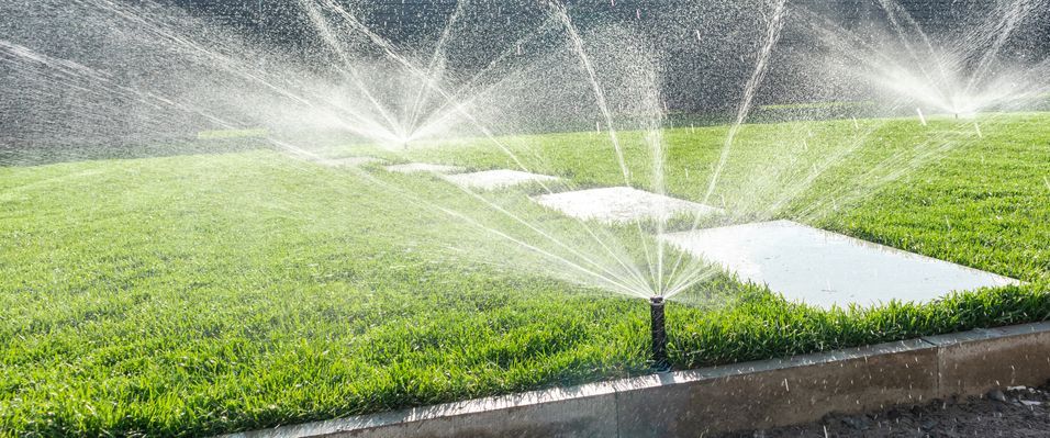 A sprinkler is spraying water on a lush green lawn.