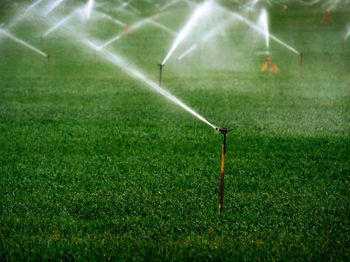 A row of sprinklers spraying water on a lush green field.