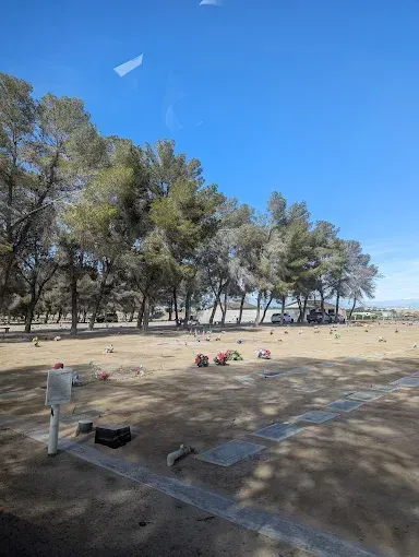Cemetery with graves, trees, and a bright blue sky. Some cars are visible in the distance.