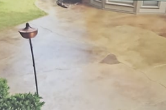 Tiki torch in a yard next to a house with a concrete patio.