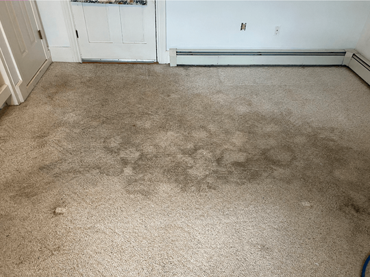 Dirty-Carpet