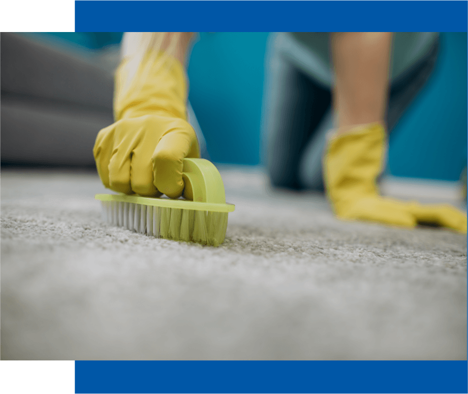 Our 5Step Carpet Cleaning Process