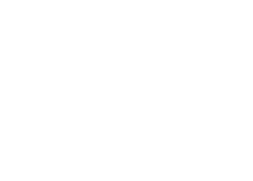 MORFOX - Works and setups for stores and commercial establishments - Logo
