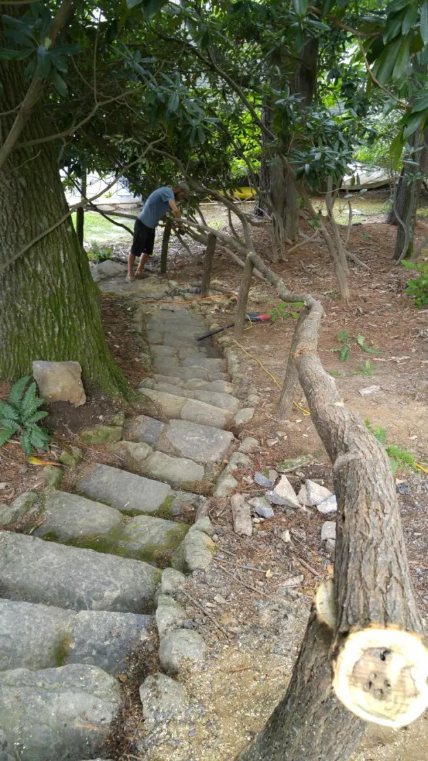 Stone steps with a wooden railing winding downhill in a wooded area; a person is standing at the top.