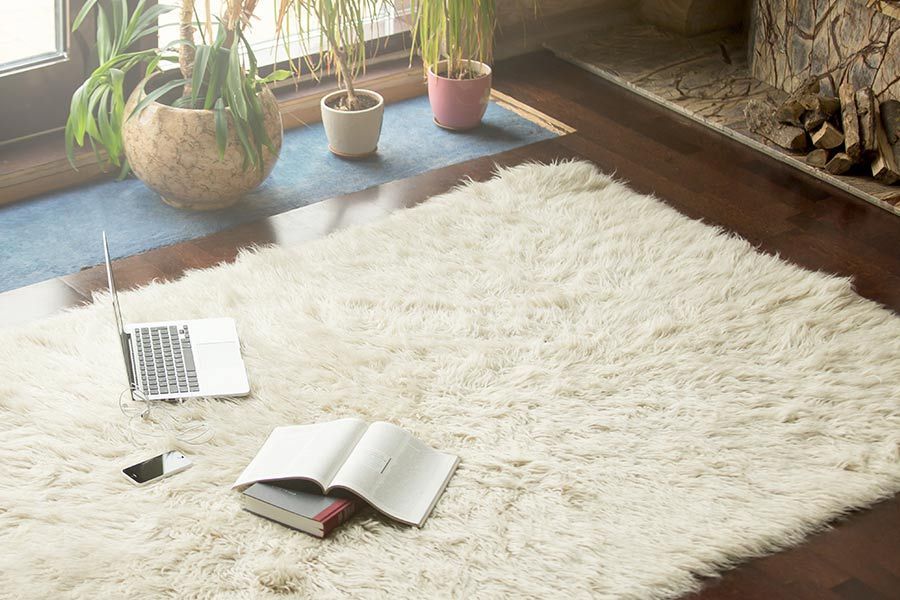 A White rug with a Laptop and a Book on it in a Living Room — Coffs Carpet Cleaning in Coffs Harbour, NSW