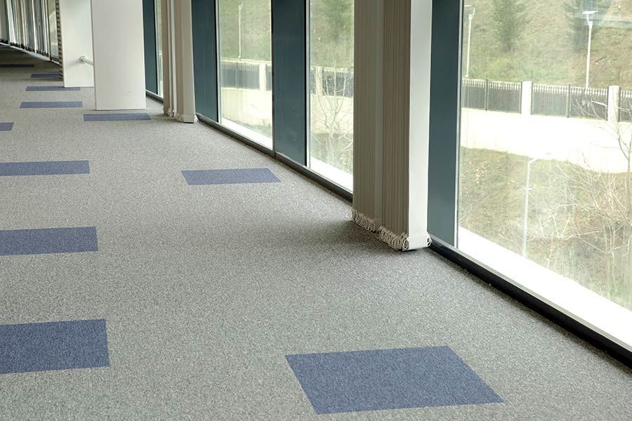 A Hallway with a lot of Windows and a Carpeted Floor — Coffs Carpet Cleaning in Coffs Harbour, NSW
