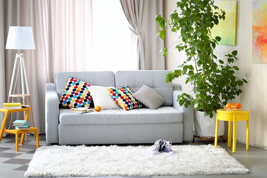 A Living Room with a Couch, rug, Lamp and Potted Plant — Coffs Carpet Cleaning in Coffs Harbour, NSW