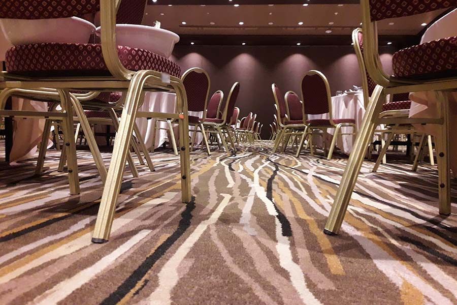 A Row of Chairs in a Room with a Zebra print rug — Coffs Carpet Cleaning in Coffs Harbour, NSW