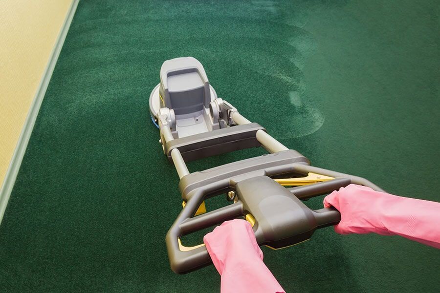 Clean Carpet On Commercial Building — Coffs Carpet Cleaning in Coffs Harbour, NSW