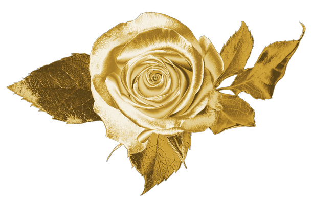A gold rose with leaves on a white background