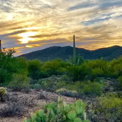 Arizona desert