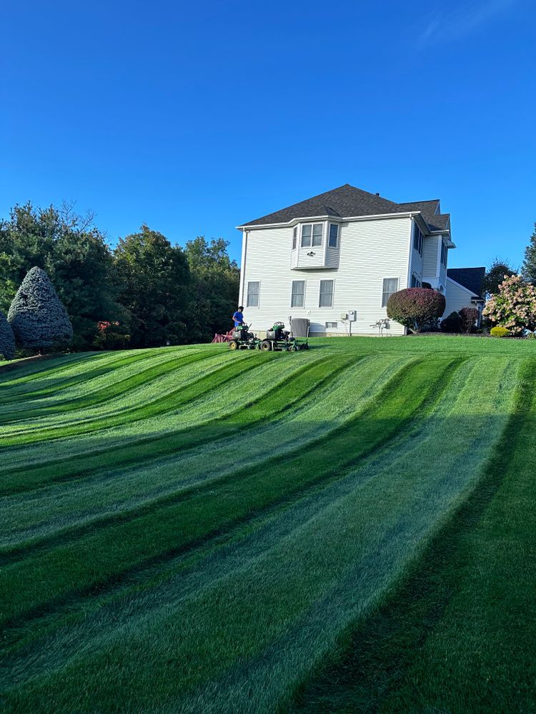 A large white house is sitting on top of a lush green lawn.