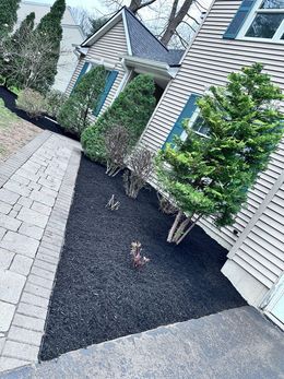 A house with a brick walkway and black mulch in front of it.