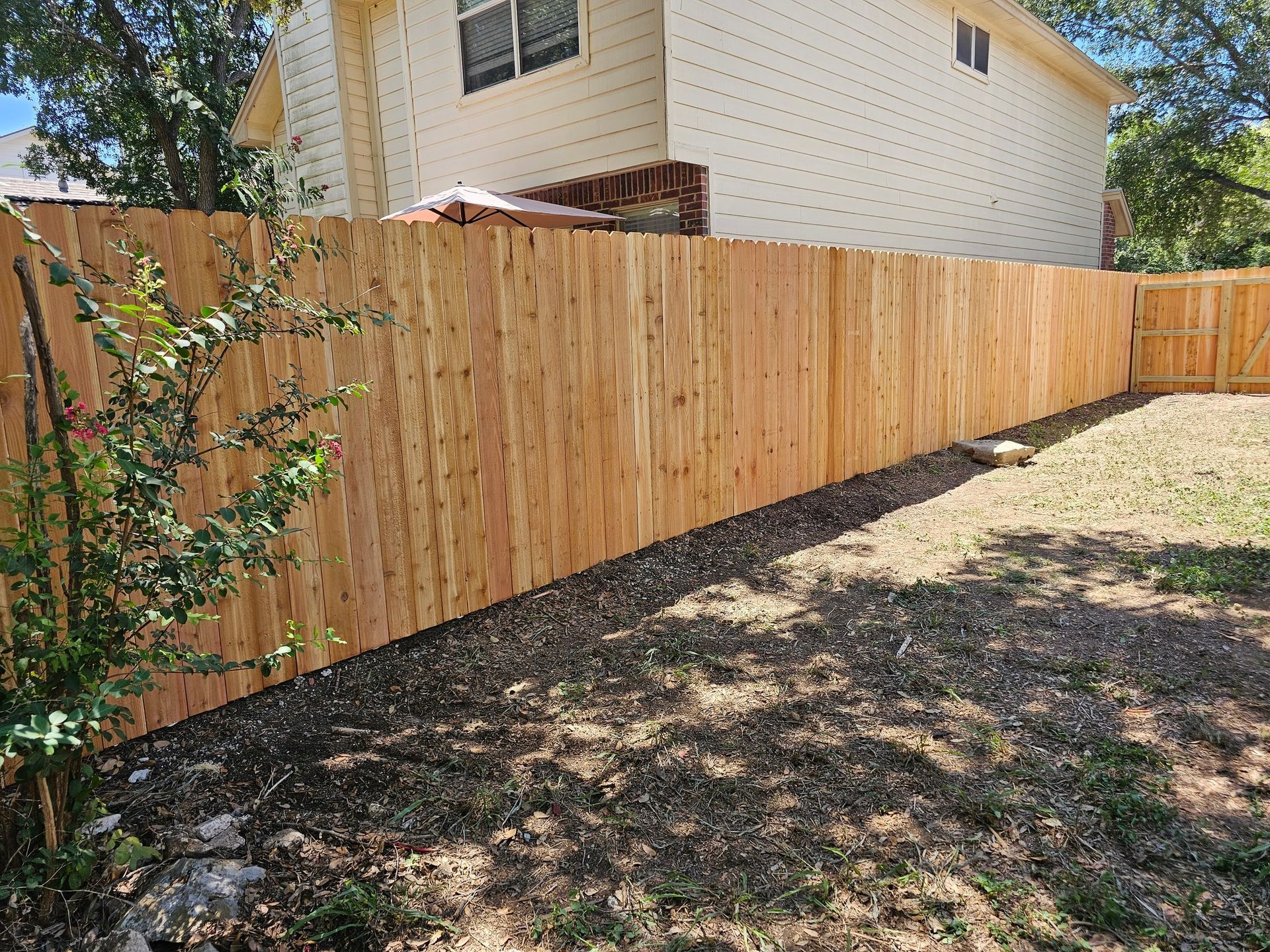 Wooden privacy fence in a backyard, with a house in the background and a small bush in front.