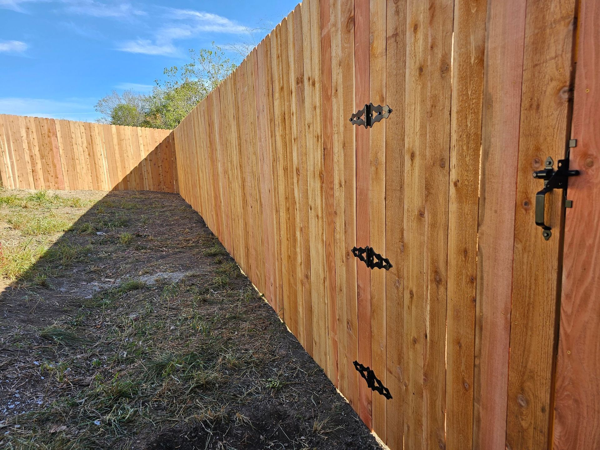 A tall wooden fence surrounds a grassy area, with a gate on the right side secured by black hinges and a latch.