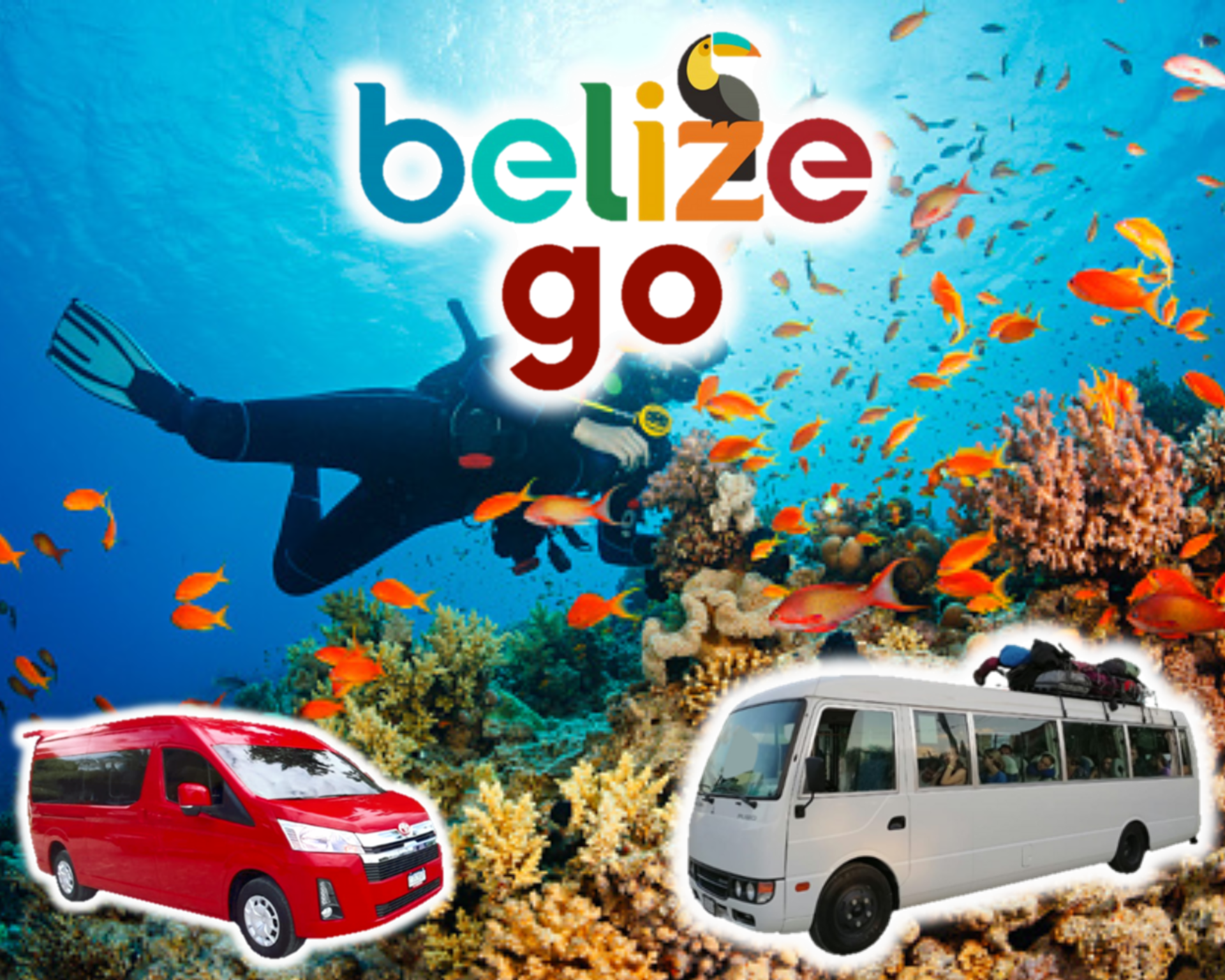 belize mayan tours & shuttles services
