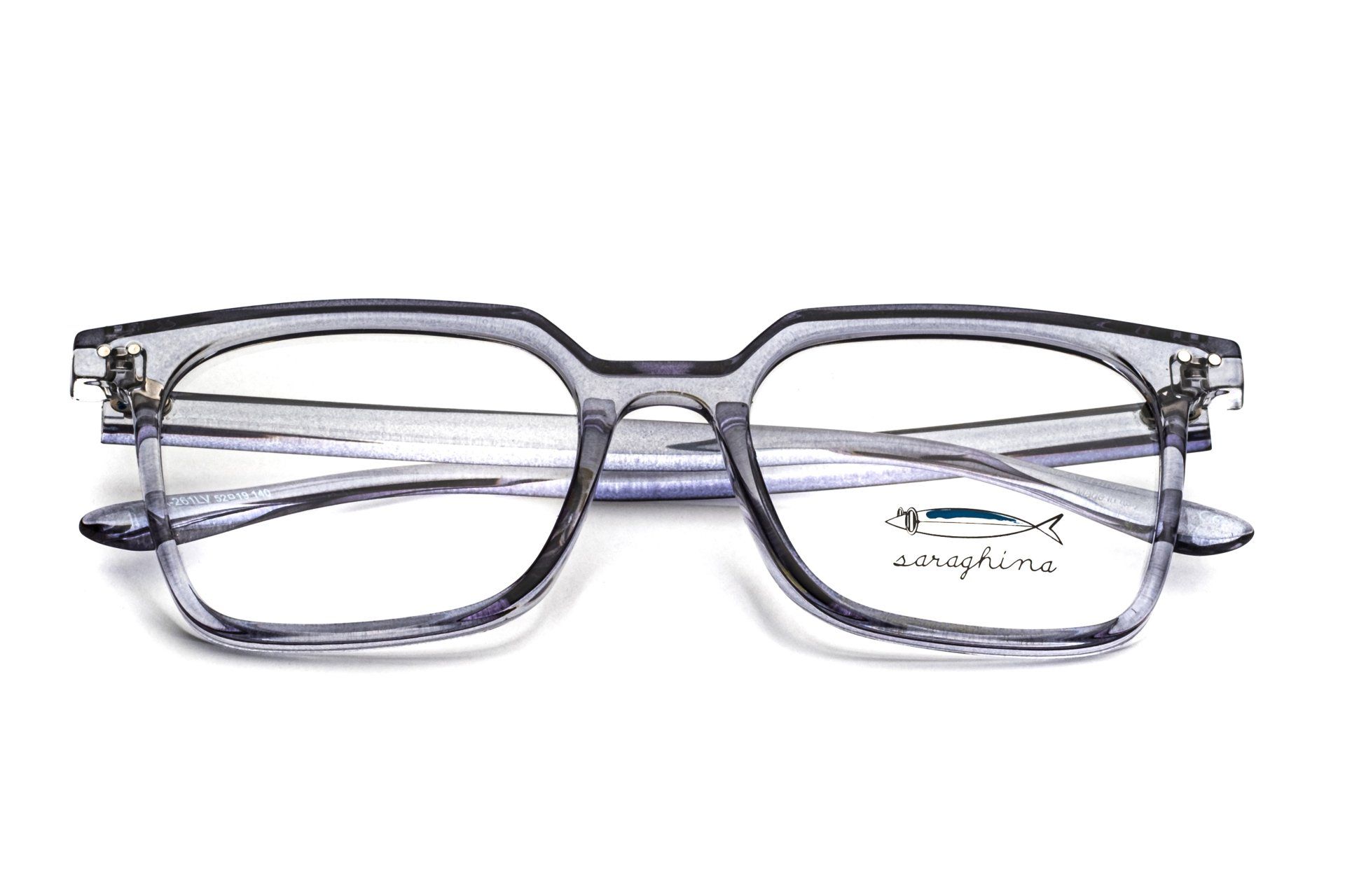 SARAGHINA MODELLO ENEA