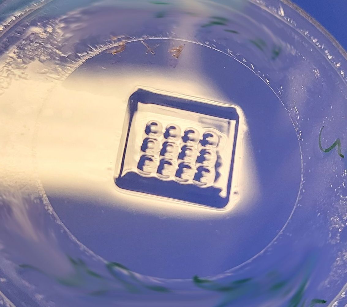 Micro lens array (MLA)