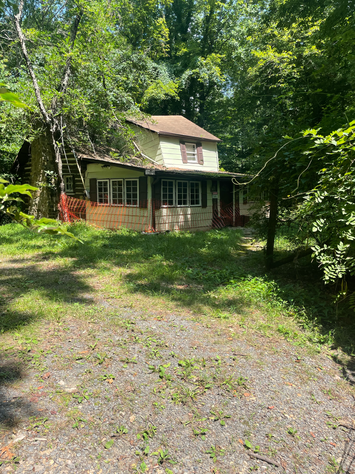 Old weathered house, green and white, overgrown with trees and plants. Gravel driveway.
