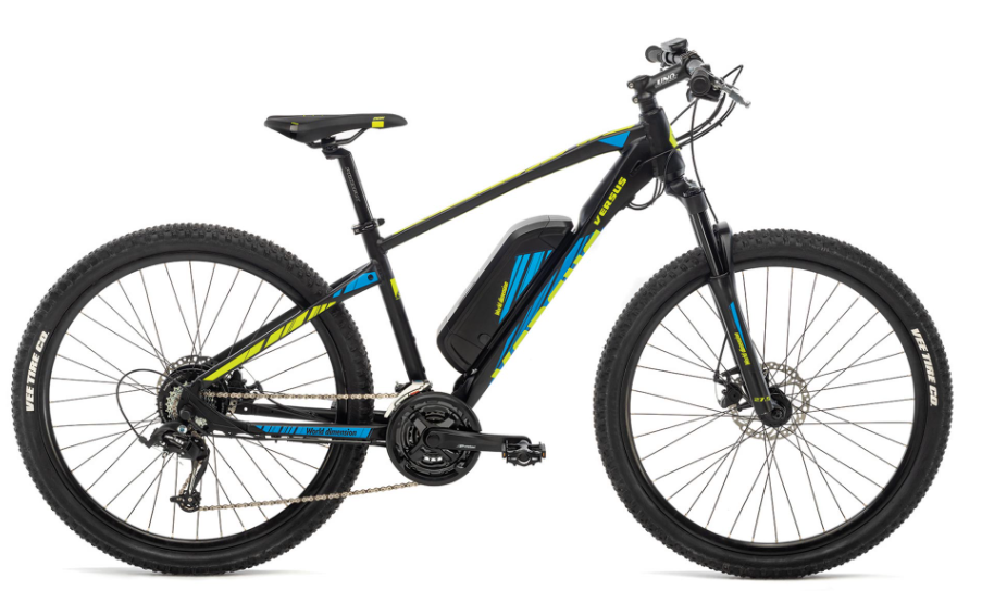 e-mountain bike