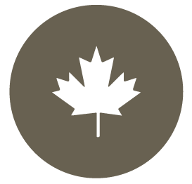 Symbol Blatt