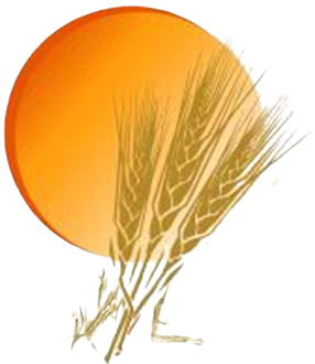 Most Recent Obituaries | Miller Carlin Funeral Homes