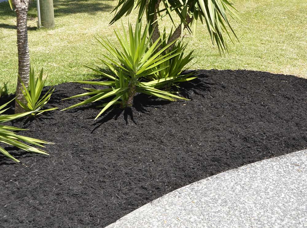 Black Cypress Mulch — Caloundra Landscape Supplies in Caloundra, QLD