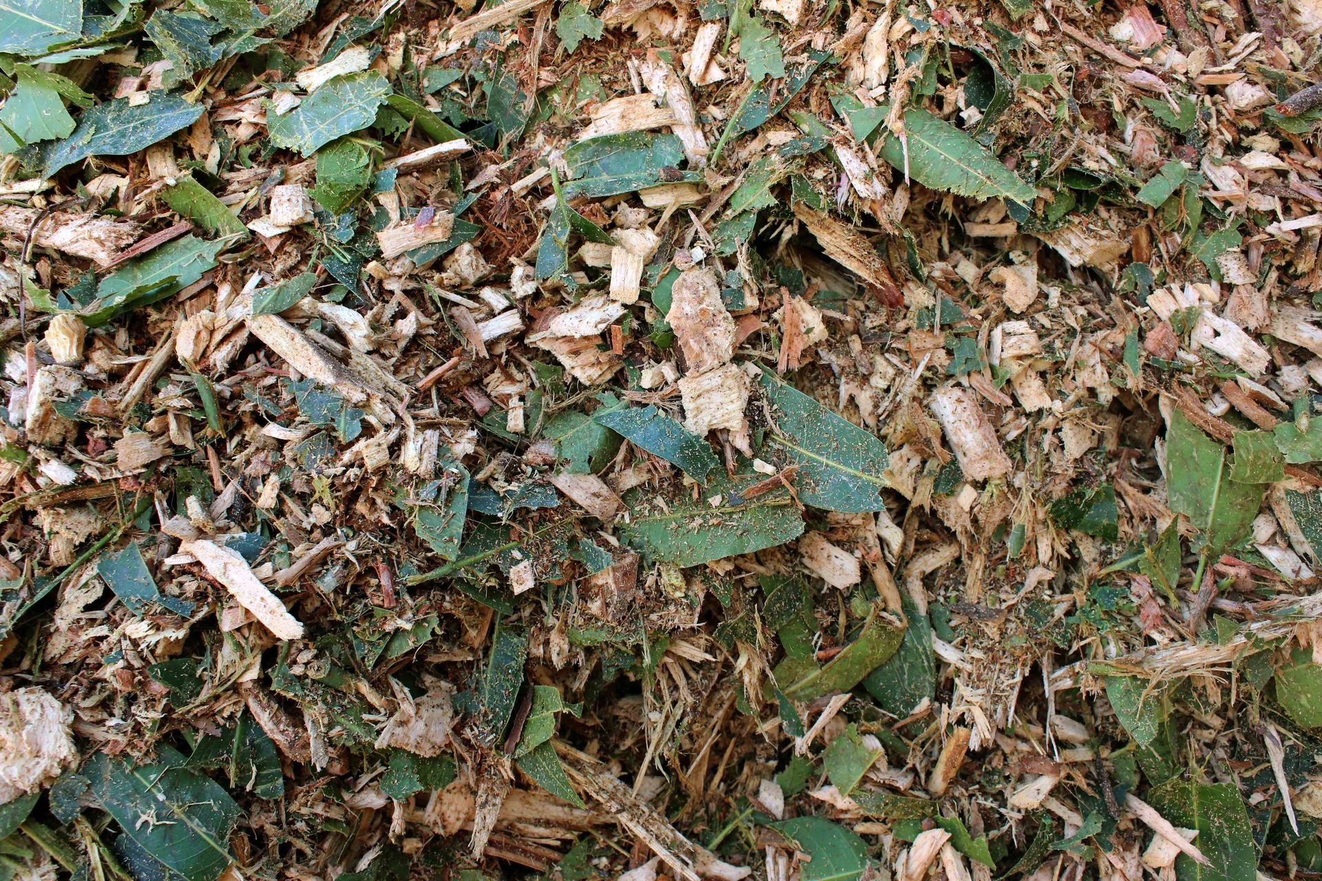 Chippers Mulch — Caloundra Landscape Supplies in Caloundra, QLD