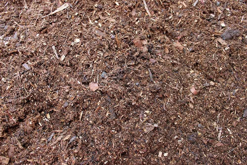 Hoop Pine Fines — Caloundra Landscape Supplies in Caloundra, QLD