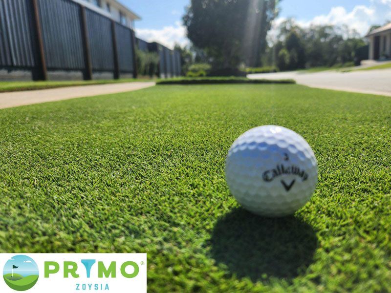 Grub Guard Ultimate — Caloundra Landscape Supplies in Caloundra, QLD