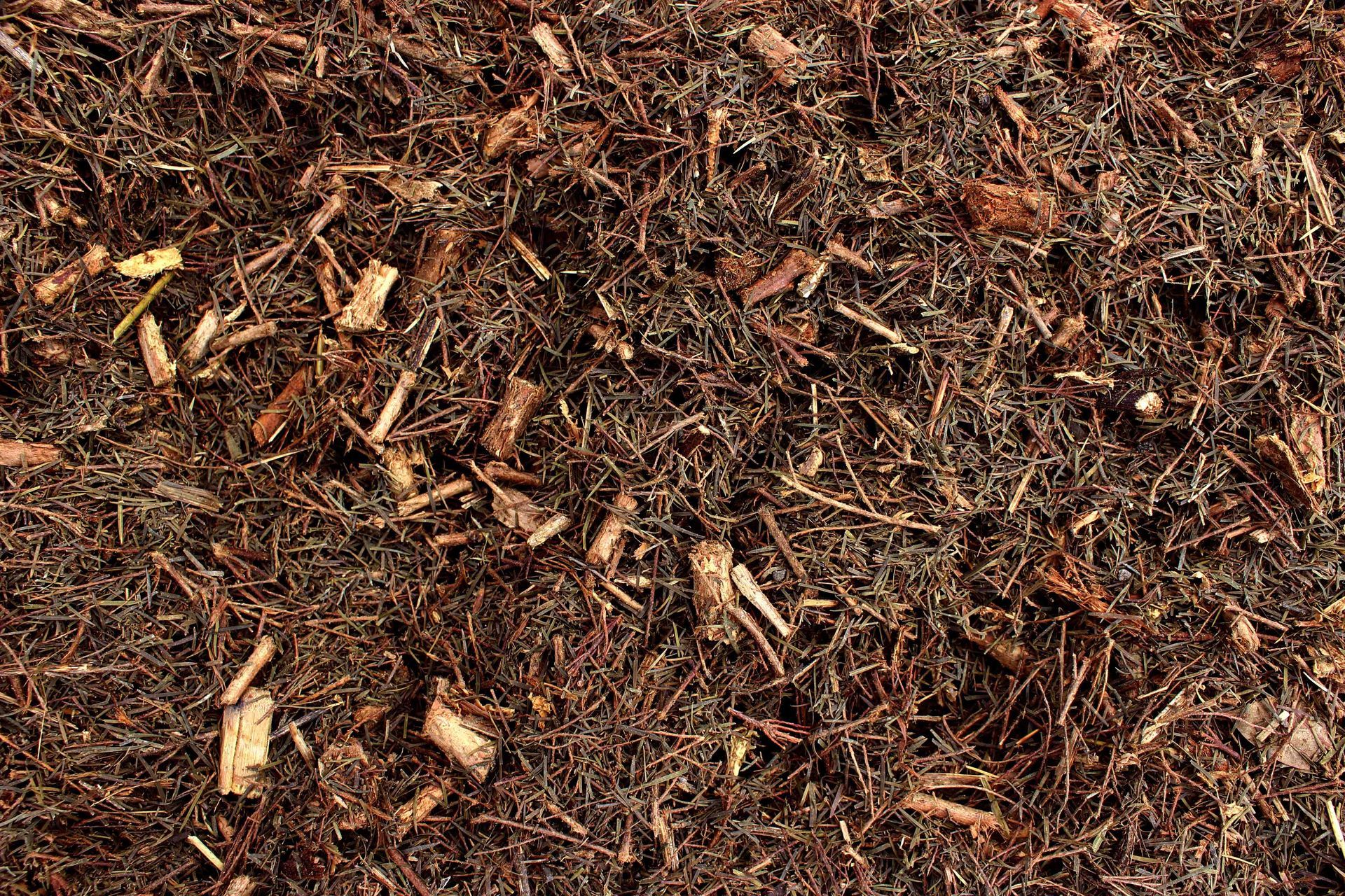 Tea Tree Mulch — Caloundra Landscape Supplies in Caloundra, QLD